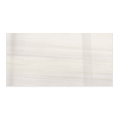 Dolomita Polished 24x48 (15.5 Sq. Ft./Case)