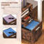 Olortegui 2 Drawer Filing Cabinet-1165396699
