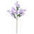 Lavander selected