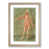 Oak Framed selected