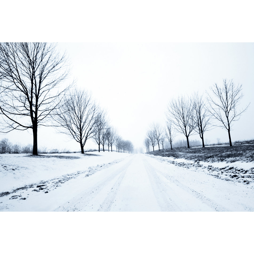 Winter Country Road von Sharply_done - Kunstdrucke auf Leinwand ohne Rahmen