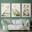 Oiseaux antiques dans la nature IV, 3 pièces-1662166646-1662166648