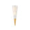 FION Wall Sconce