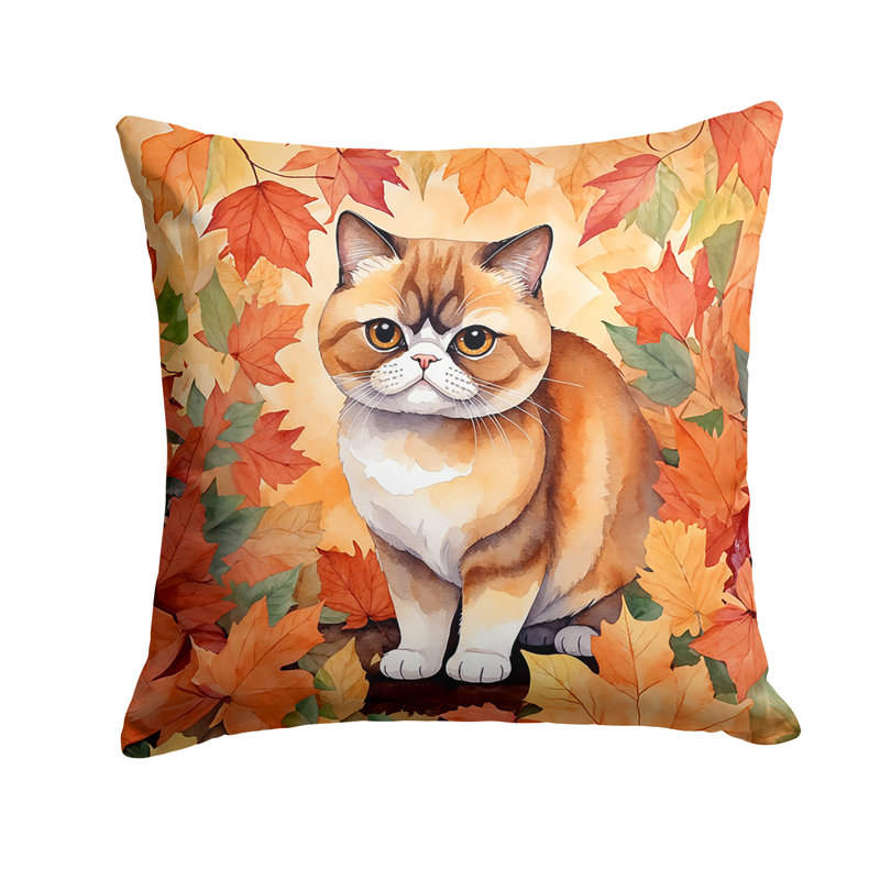 Coussin Exotic Shorthair, Carré 18 po