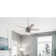 44" Hardwick 5 - Blade Standard Ceiling Fan with Remote Control and Light Kit Included