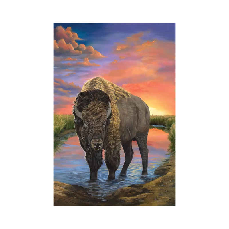 American Bison by Laura Curtin - Wrapped Canvas Print, 20.32 cm H x 30.48 cm W