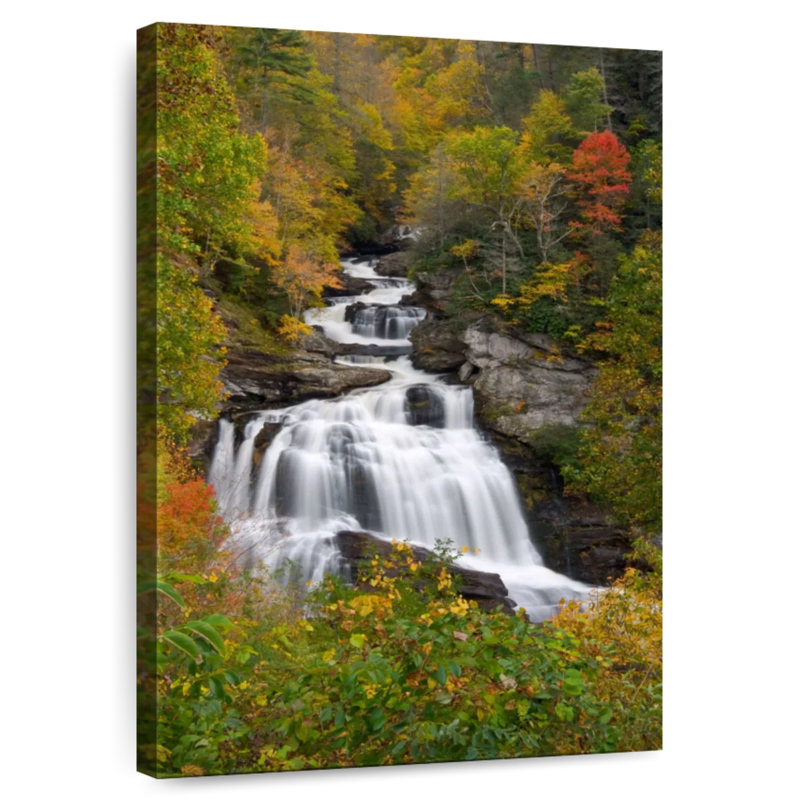 Cascades d'Alvord Blue Ridge Parkway, H 48 po x l 32 po