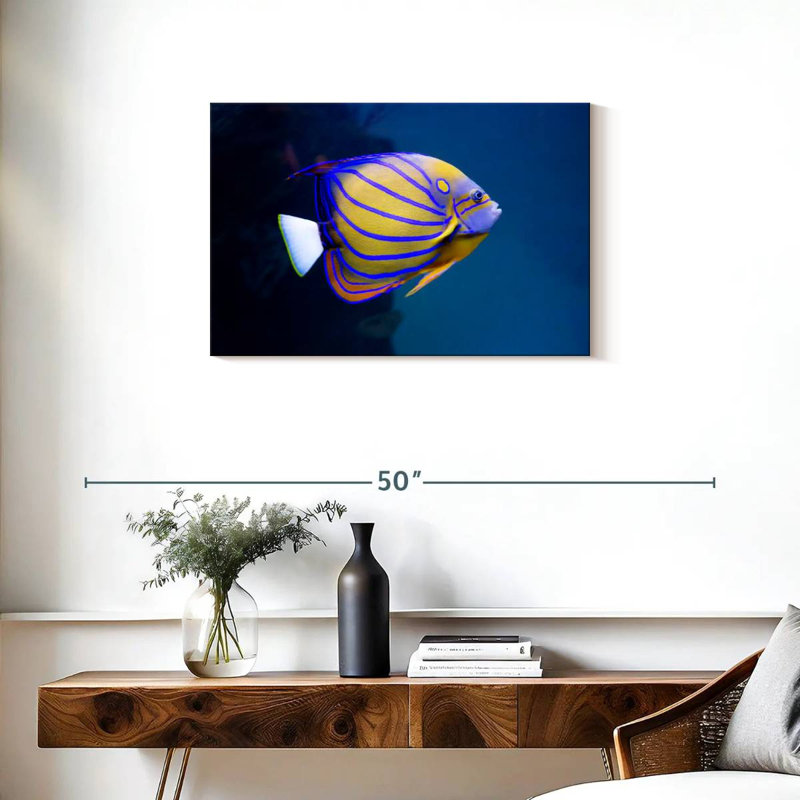 Brampt Colorful Angelfish, 20" H x 30" W
