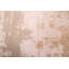 Tapis beige Legacy 2 pi 6 po x 10 pi 2 po Legacy