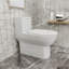 Dual Flush One Piece Toilet