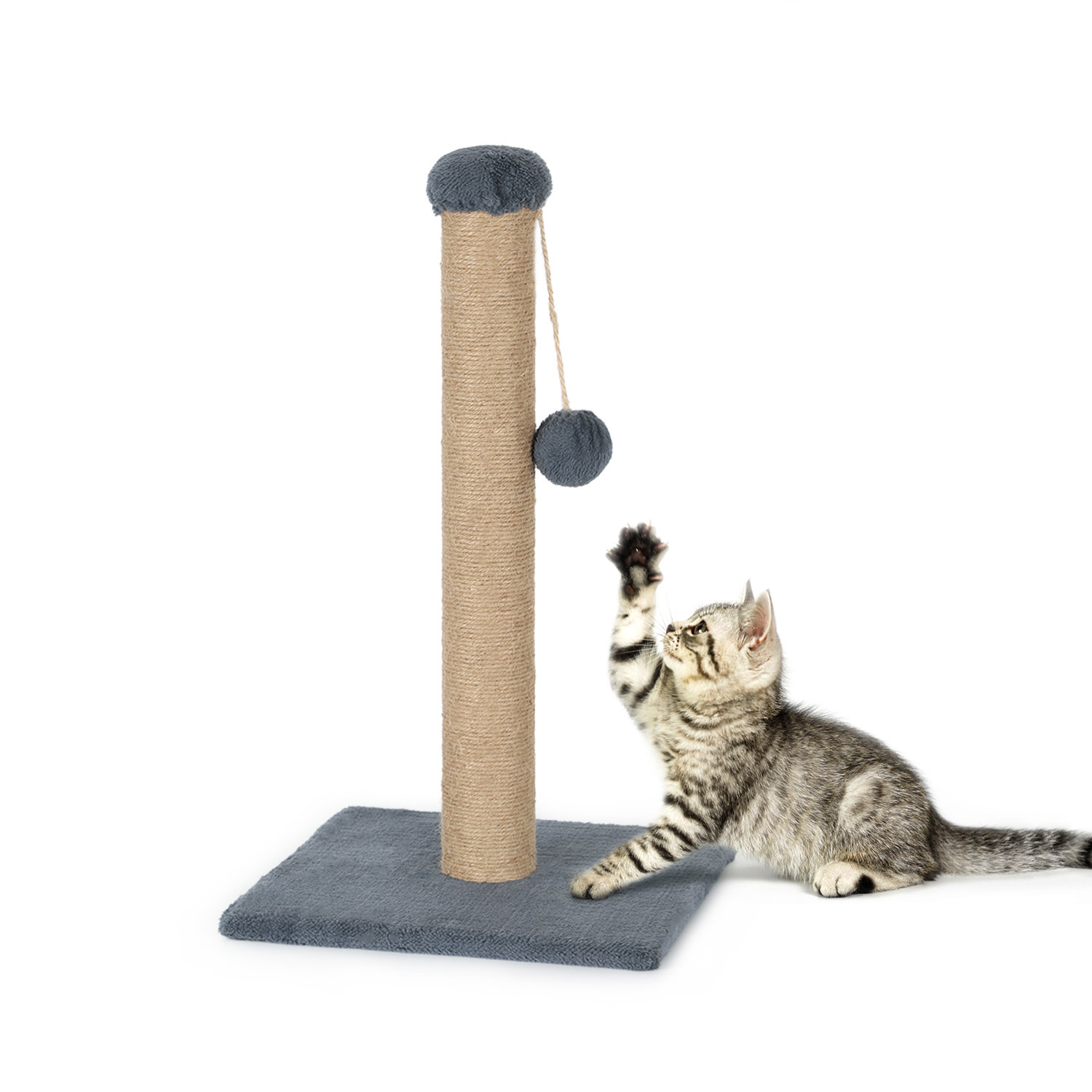 Tucker Murphy Pet™ Calfy Scratching Post | Wayfair