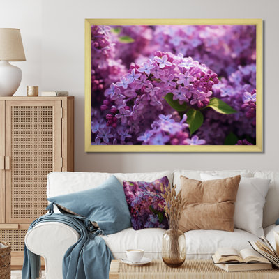 " Purple Lilac Fragrant Blossoms IV "