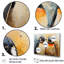 Portraits de pingouins curieux II-1459970832-1523151554