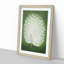 Peacock by Ohara Koson - Picture Frame Painting Print-55739091-55739094