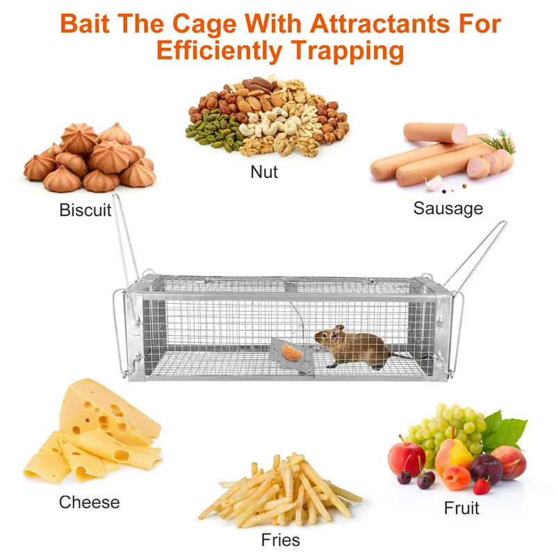 Cage à piège à rat à deux portes Humane Live