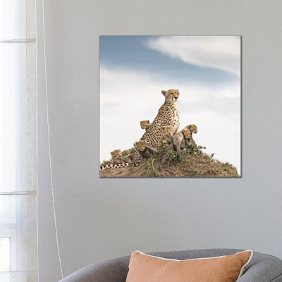 Colour Cheetah & Cubs 1 Piece Wall Art on Canvas