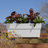 Finley Modern 24-in Recycled Plastic Indoor/Outdoor Rectangle Railing Planter-1803709010