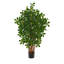 Faux Olive Tree Tree in Pot-1890085894