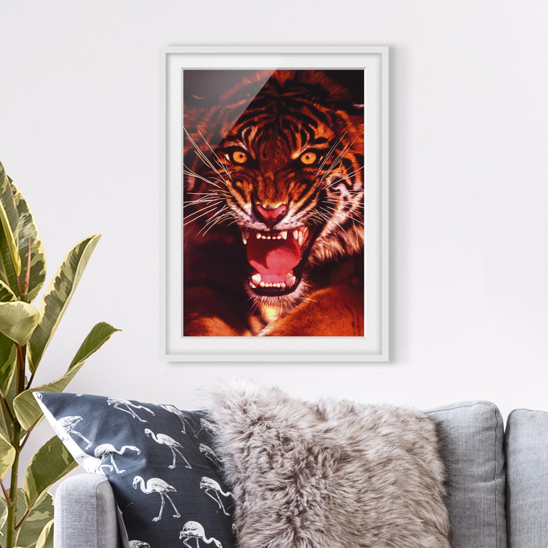 Gerahmtes Poster Wild Tiger