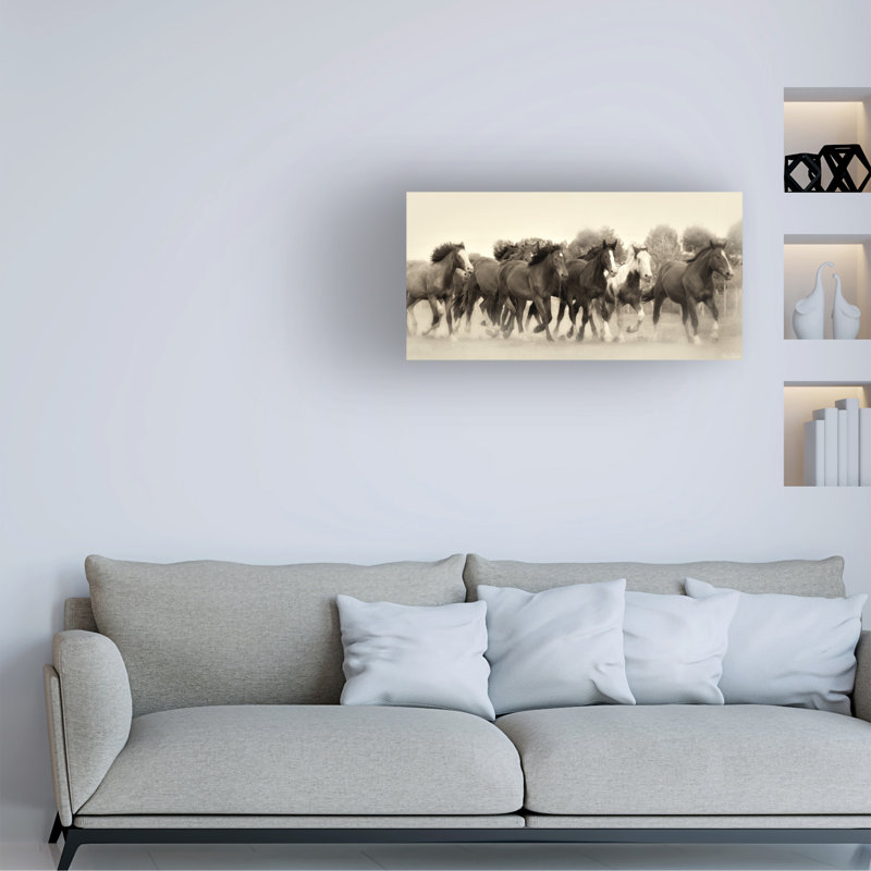 Bologolaise sur la toile, H 16 po x l 32 po