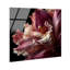 Velvet Labellum High-Gloss Frameless Acrylic Glass Wall Art Floral & Botanical Print by Oliver Gal, Ready to Hang, 12 x 12-1516909224-1516909227