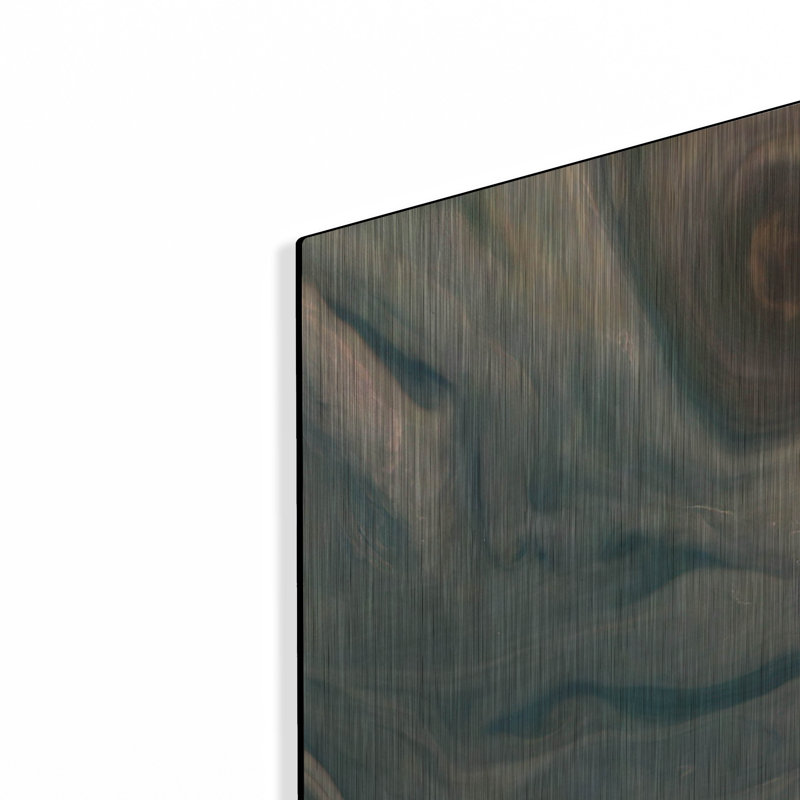 «Nasa's Juno Mission Reveal's Jupiter's Complex Colors» par la NASA, art mural en métal, 24 po x 48 po, H 48 po x l 24 po