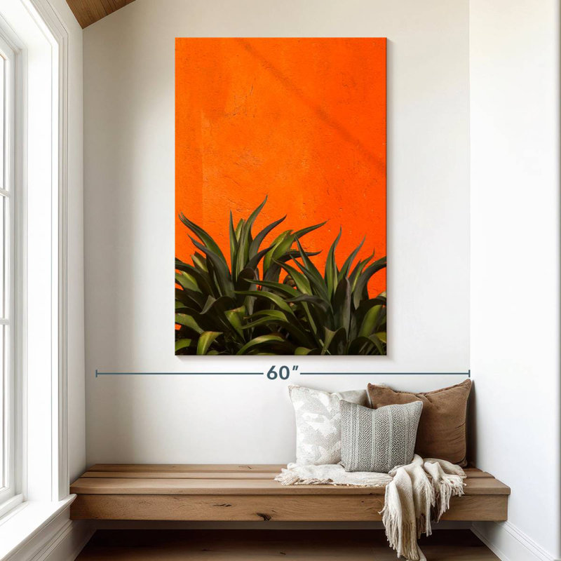 Harnek Agave, 51" H x 34" W