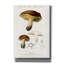 «Champignons» par Art Licensing Studio, art mural sur toile