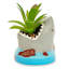 7 plantes