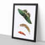 Caterpillar & Swallow-Tail Butterfly by George Shaw - Framed Print-55621139-55621141