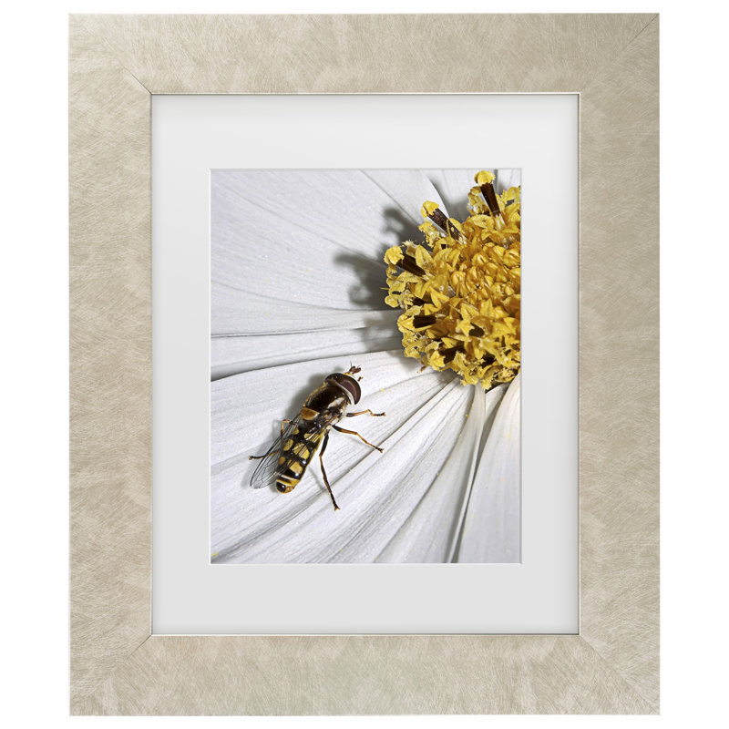 «Canvas Art One», encadrée sur toile par SD Smart, Champagne, H 17,5 po x l 14,5 po x P 0,625 po