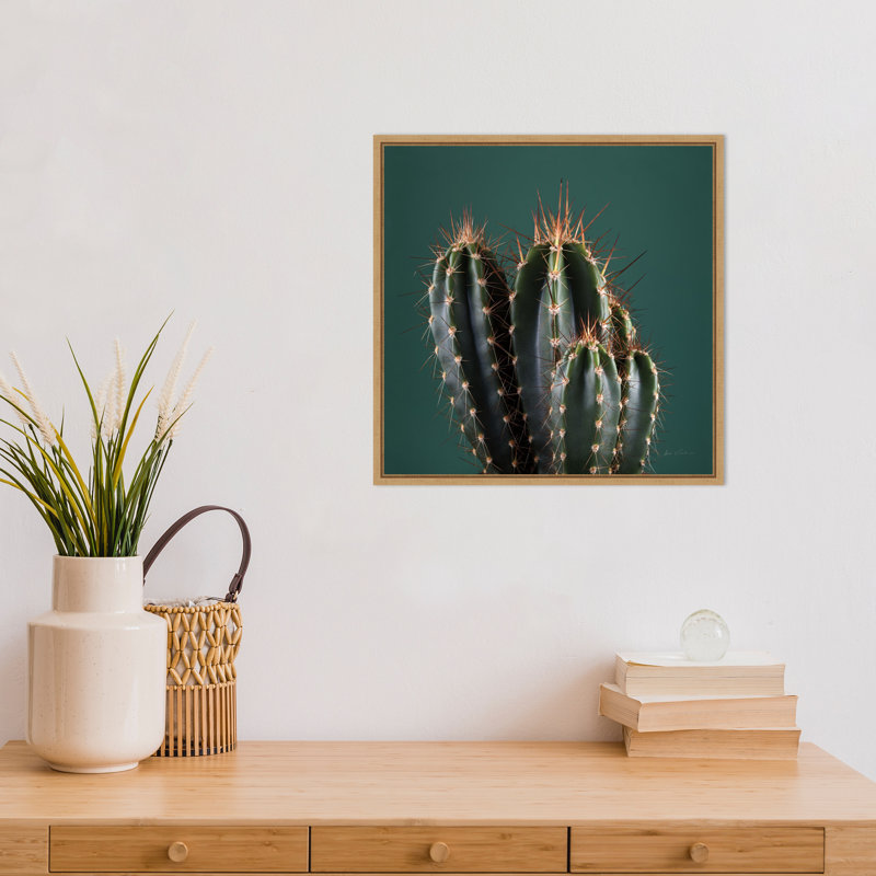 Reproduction de photo sur toile, "cactus IV" par Andre Eichman
