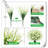 Lillies Arrangement-983255569