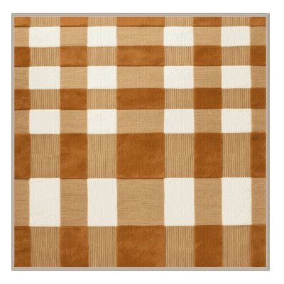 Machine Washable Checkered Brown Area Rug