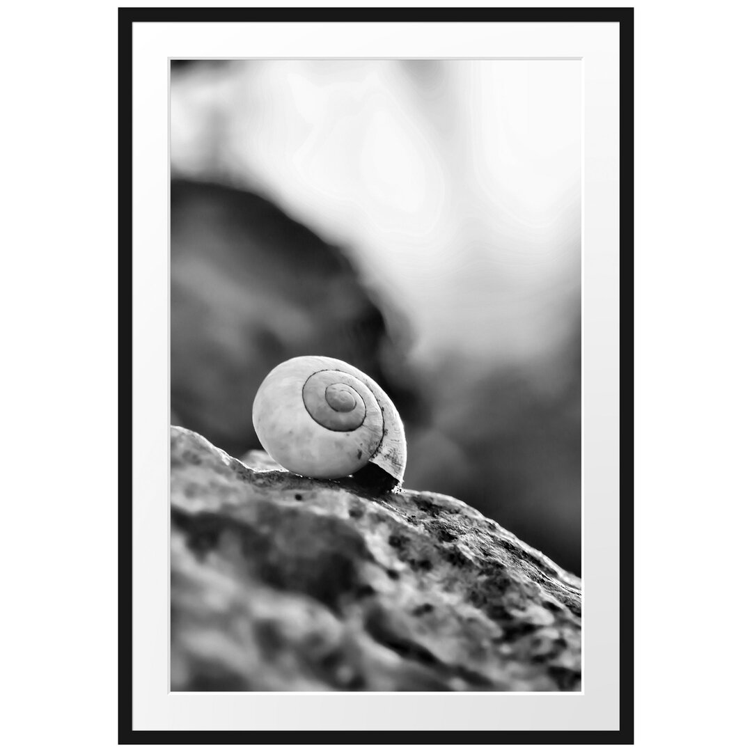 Gerahmtes Poster Kleine Schnecke auf Stein