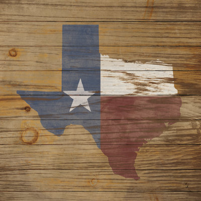 Lone Star - Wrapped Canvas Print