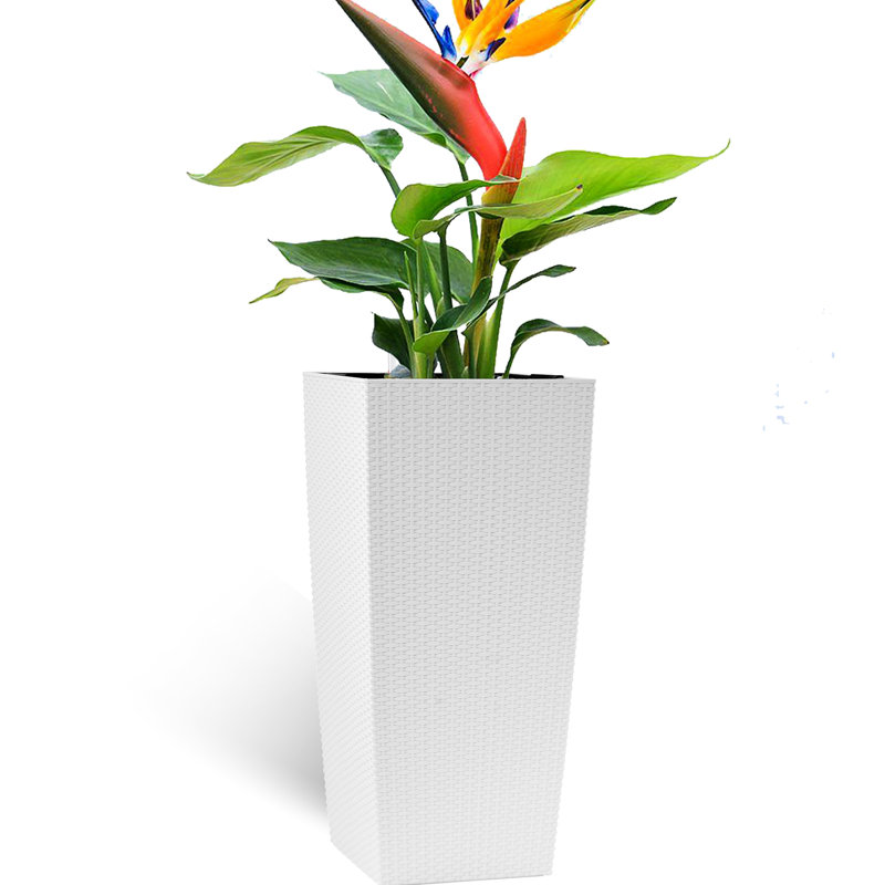 30 In Tall Large Self - Watering Flower Pots With Drain Holes, Water Level Monitor, Inner Trays In White Pp Plastic For Indoor Outdoor Use Backyard, Living Room, Patio Planter Drainage Bucket,