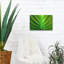 «Green Design 2» par PhotoINC Studio