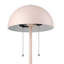 Ailaigh Metal Desk Lamp Lamp