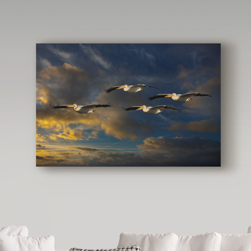 «Pelican Foursome» par Fillmer, reproduction de photo sur toile tendue, H 12 po x l 19 po x P 2 po