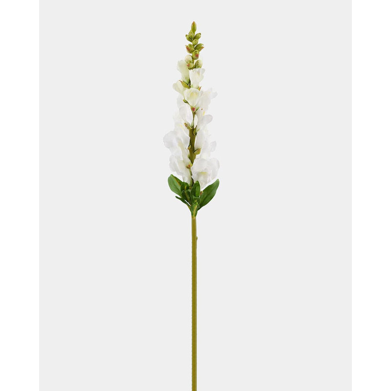 Véritable touche blanche 23 po Snapdragon, Blanc, crème