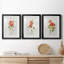 Lin géranium - ensemble de 3 reproductions de cadres photo-941215762-941215759