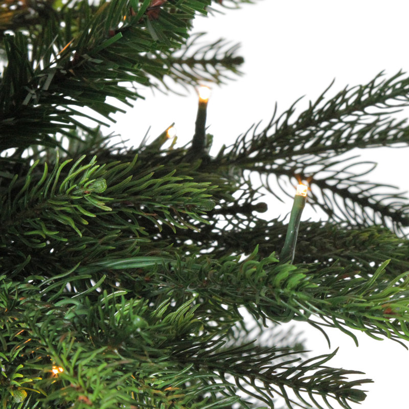 6' Pre-Lit Potted Oregon Noble Fir Slim Artificial Christmas Tree - Clear LED Lights