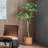 162cm Faux Foliage Tree in Pot