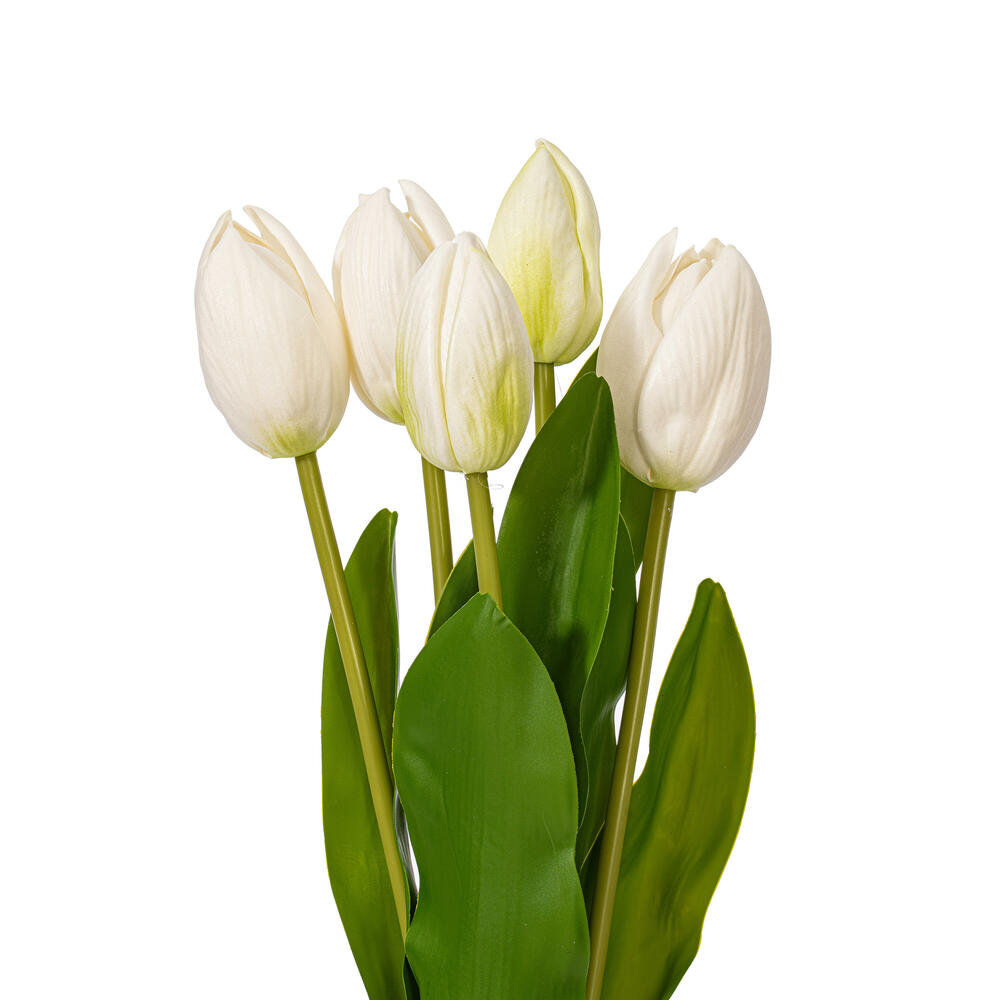 Jasiah Tulip Floral Stems, White