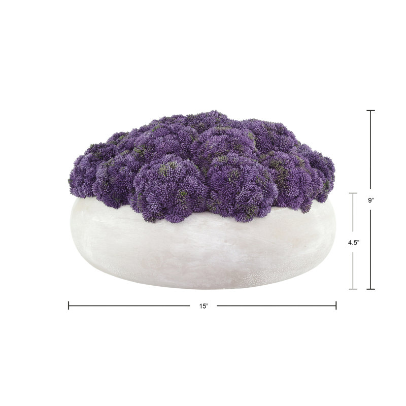 Sedum Arranged in a Stone Planter, 9" H x 15" W x 15" D, Purple