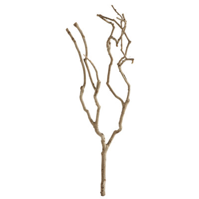 3'' Tea Tree Branch