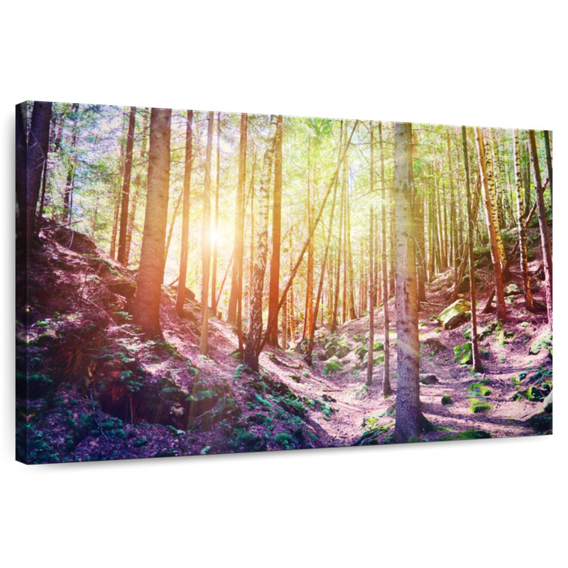 Alvord Fantasy Forest Trees
