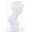 Andraid Figurines & Sculptures