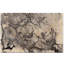 «Tatouer floral I», reproduction-1613675395-1613669845
